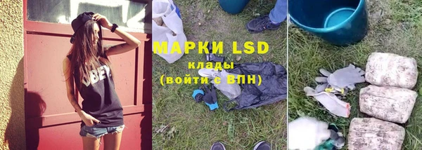 PSILOCYBIN Нефтекумск