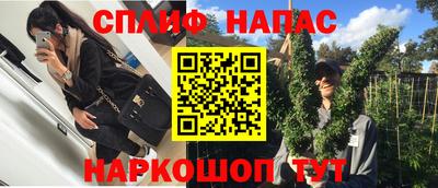 гидра Волжск