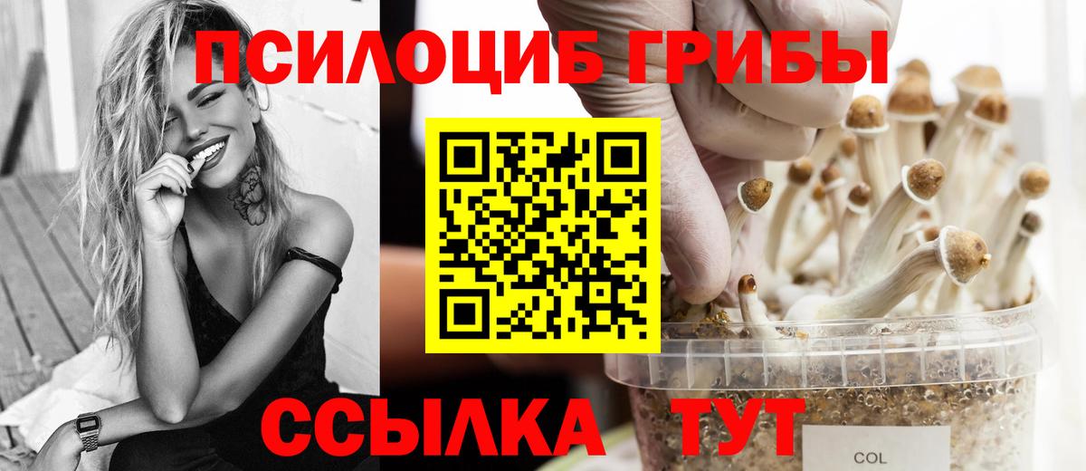 Шахты  Псилоцибиновые грибы мухоморы  Псилоцибиновые грибы Magic Shrooms  Вход с VPN 